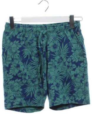 Herren Shorts Calida, Größe XS, Farbe Mehrfarbig, Preis € 42,00, #137628397