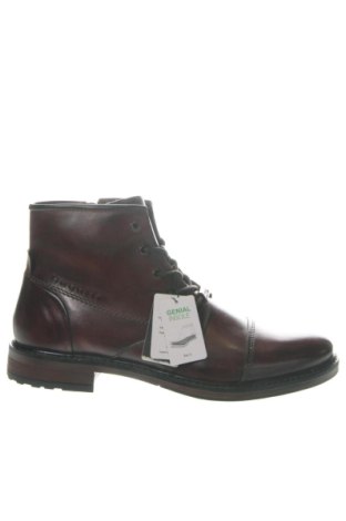 Herrenschuhe Bugatti, Größe 45, Farbe Braun, Preis 62,00 €, #137626638
