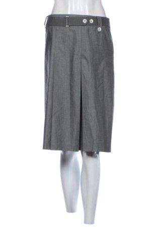 Φούστα Marella, Μέγεθος L, Χρώμα Γκρί, Τιμή 38,00 €, #137647383