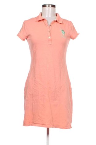 Kleid U.S. Polo Assn., Größe M, Farbe Rosa, Preis 40,00 €, #137617714