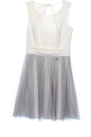 Kleid Terry, Größe XXS, Farbe Mehrfarbig, Preis € 17,48, #137635099