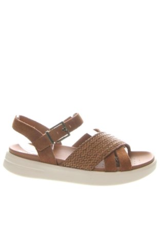 Σανδάλια Geox, Μέγεθος 37, Χρώμα Καφέ, Τιμή 109,99 €, #137625322