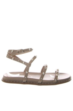 Sandale Steve Madden, Mărime 40, Culoare Bej, Preț 482,99 Lei, #137631502