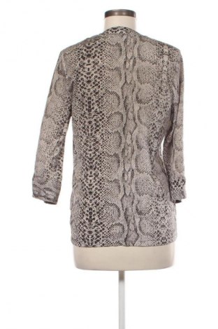 Dámska košeľa  Studio, Veľkosť M, Farba Viacfarebná, Cena  1,95 €