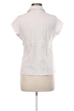 Damska koszula Unbranded, Rozmiar L, Kolor Kolorowy, Cena 24,99 zł