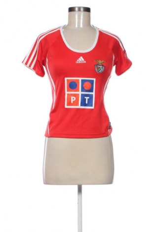 Damen T-Shirt Adidas, Größe S, Farbe Rot, Preis 15,72 €