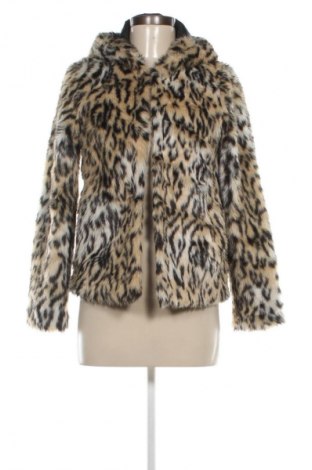 Palton de femei H&M Divided, Mărime S, Culoare Multicolor, Preț 251,99 Lei, #133285212