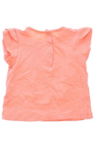 Dziecięcy T-shirt Unbranded, Rozmiar 3-6m/ 62-68 cm, Kolor ecru, Cena 31,46 zł