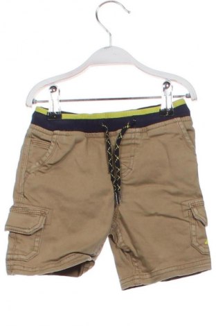 Dziecięce szorty Mantaray, Rozmiar 12-18m/ 80-86 cm, Kolor Zielony, Cena 6,99 zł