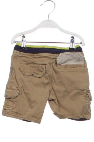 Dziecięce szorty Mantaray, Rozmiar 12-18m/ 80-86 cm, Kolor Zielony, Cena 6,99 zł