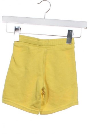 Dziecięce szorty Unbranded, Rozmiar 4-5y/ 110-116 cm, Kolor Żółty, Cena 35,69 zł