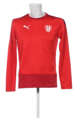 Herren Shirt PUMA, Größe M, Farbe Rot, Preis € 20,99