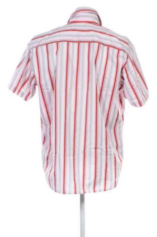 Herrenhemd Tom Tailor, Größe XL, Farbe Mehrfarbig, Preis € 5,99