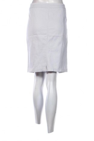 Φούστα Unbranded, Μέγεθος L, Χρώμα Γκρί, Τιμή 3,99 €