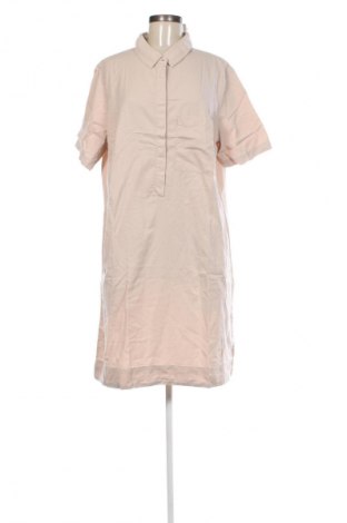 Sukienka Betty & Co, Rozmiar XL, Kolor Beżowy, Cena 215,99 zł