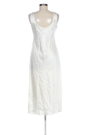 Kleid Calvin Klein, Größe M, Farbe Ecru, Preis 219,99 €