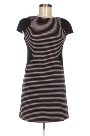 Sukienka Dorothy Perkins, Rozmiar M, Kolor Kolorowy, Cena 29,99 zł