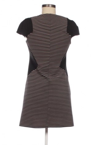 Sukienka Dorothy Perkins, Rozmiar M, Kolor Kolorowy, Cena 29,99 zł