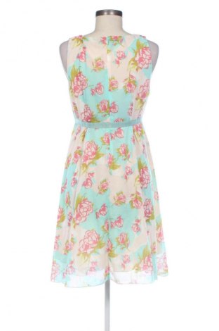 Kleid Fornarina, Größe L, Farbe Mehrfarbig, Preis 45,19 €