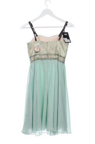 Kleid Laona, Größe XS, Farbe Grün, Preis 111,57 €