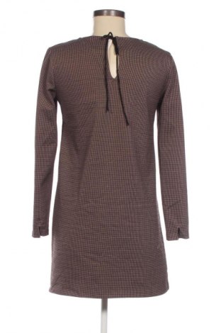 Kleid Mango, Größe XS, Farbe Mehrfarbig, Preis € 5,99