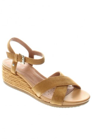 Σανδάλια Geox, Μέγεθος 39, Χρώμα Καφέ, Τιμή 84,99 €
