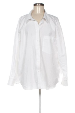 Damenbluse Zara, Größe XL, Farbe Weiß, Preis € 19,00, #137674252