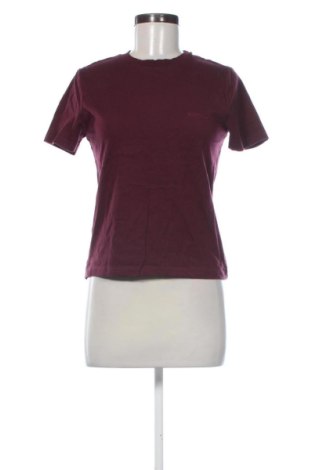 Damen T-Shirt LCW, Größe M, Farbe Lila, Preis € 8,00, #137666250