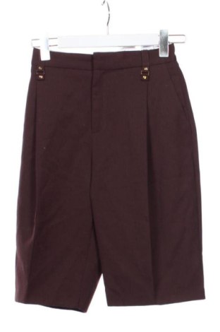 Női rövidnadrág Elisabetta Franchi, Méret XS, Szín Barna, Ár 87 989 Ft, #137671320