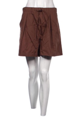 Damen Shorts Sinsay, Größe XXL, Farbe Braun, Preis € 9,68, #137694541