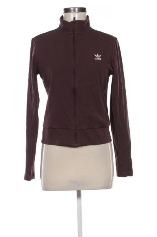 Damen Sportoberteil Adidas Originals, Größe XL, Farbe Braun, Preis € 34,00, #137660889