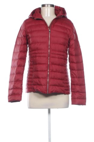 Damenjacke Tommy Hilfiger, Größe S, Farbe Rot, Preis € 102,40, #137697862