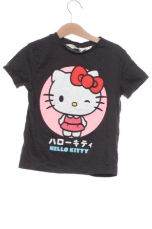 Детска тениска H&M, Размер 4-5y/ 110-116 см, Цвят Сив, Цена 7,00 €, #137694147