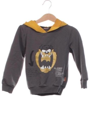 Детски суитшърт Unbranded, Размер 5-6y/ 116-122 см, Цвят Многоцветен, Цена 9,00 €, #137669904