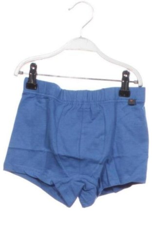 Detská spodná bielizeň Scholler, Veľkosť 8-9y/ 134-140 cm, Farba Modrá, Cena  12,00 €, #137685805