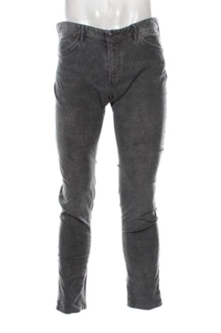 Herren Cordhose Massimo Dutti, Größe L, Farbe Grau, Preis 20,31 €, #137641644