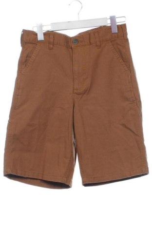 Herren Shorts Carhartt, Größe S, Farbe Braun, Preis € 31,00, #137647387