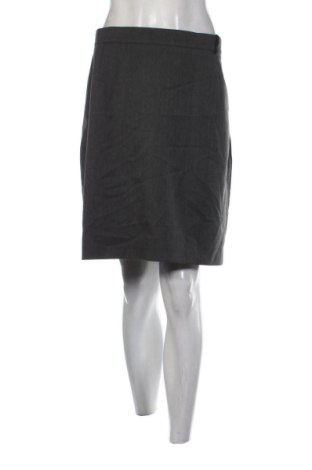 Φούστα Unbranded, Μέγεθος XL, Χρώμα Γκρί, Τιμή 18,46 €, #137683434