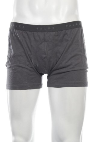 Slip Falke, Mărime 3XL, Culoare Gri, Preț 98,21 Lei, #137697261