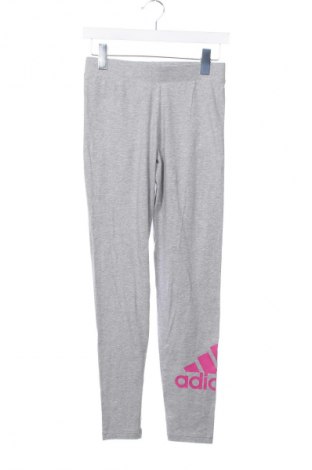 Kinderlegging Adidas, Größe 14-15y/ 168-170 cm, Farbe Grau, Preis € 22,99, #128879142