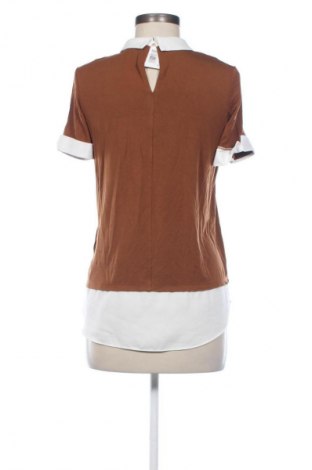 Damen Shirt Patrizia Dini, Größe S, Farbe Braun, Preis € 5,99