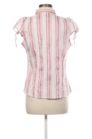 Damenbluse Yessica, Größe XL, Farbe Mehrfarbig, Preis € 3,99