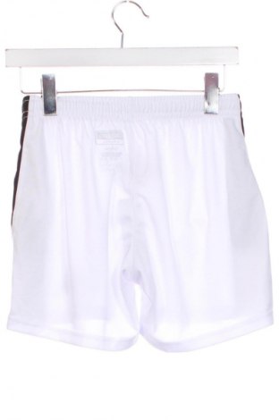 Damen Shorts Kappa, Größe XS, Farbe Mehrfarbig, Preis € 11,99