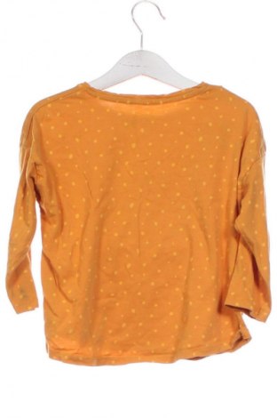 Kinder Shirt Unbranded, Größe 3-4y/ 104-110 cm, Farbe Mehrfarbig, Preis 7,99 €