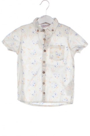 Dziecięca koszula Looney Tunes, Rozmiar 18-24m/ 86-98 cm, Kolor Kolorowy, Cena 6,99 zł