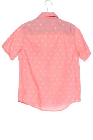 Детска риза Next, Размер 6-7y/ 122-128 см, Цвят Многоцветен, Цена 10,23 €
