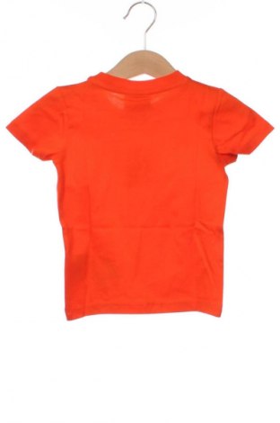 Dziecięcy T-shirt Champion, Rozmiar 6-9m/ 68-74 cm, Kolor Pomarańczowy, Cena 39,99 zł