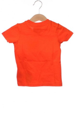 Dziecięcy T-shirt Champion, Rozmiar 6-9m/ 68-74 cm, Kolor Czerwony, Cena 39,99 zł