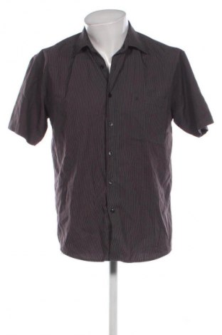 Herrenhemd CedarWood State, Größe M, Farbe Mehrfarbig, Preis € 4,99