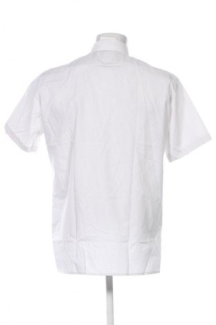 Herrenhemd Olymp, Größe L, Farbe Mehrfarbig, Preis 26,99 €